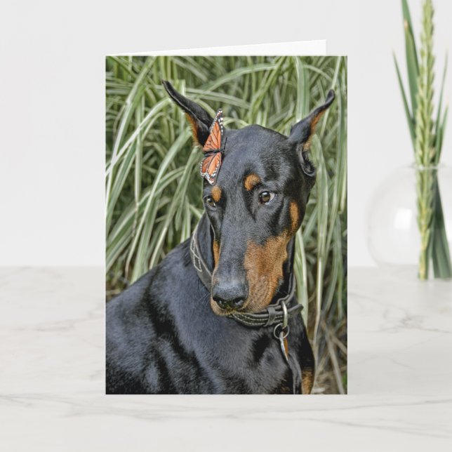 Tarjeta Doberman Butterfly Surprise (Anverso)
