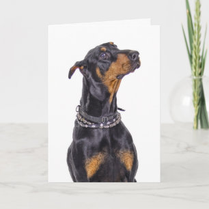 Tarjeta ¿Doberman con mirada disimulada quién yo?