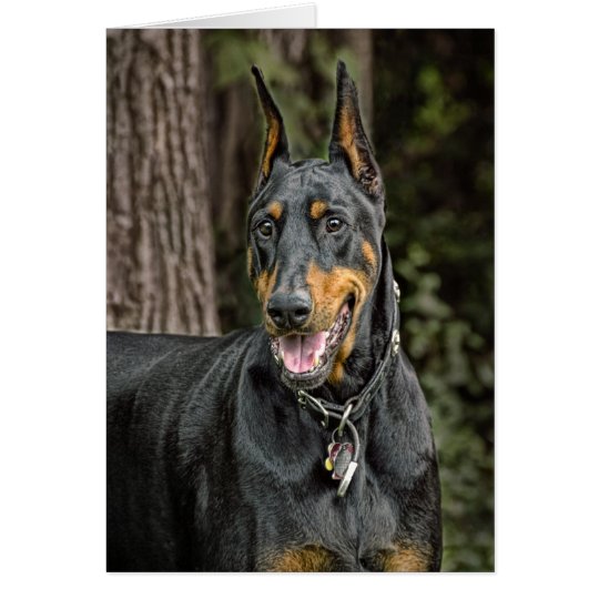 Tarjeta Doberman en bosque