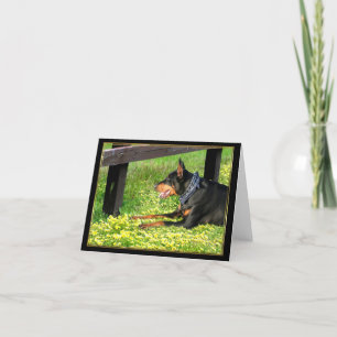 Tarjeta Doberman Pinscher Notecard