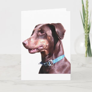 Tarjeta Doberman Pinscher Rojo