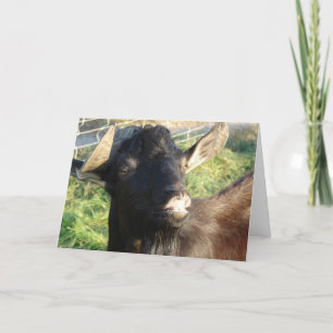 Tarjeta Dobie el Billy Alpino