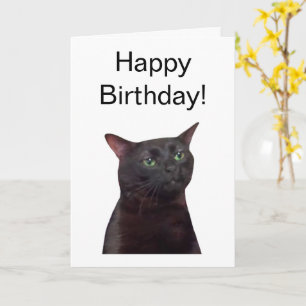 Tarjeta doblada con meme Cat Zoned Out