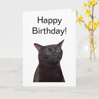 Tarjeta doblada con meme Cat Zoned Out