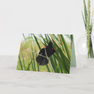 Tarjeta doblada de canto de pájaro negro alado roj