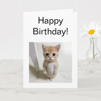 Tarjeta doblada El Gato Cat Meme