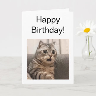 Tarjeta doblada Meme de gato impactado