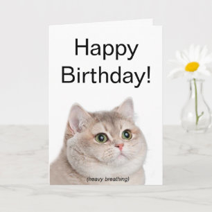 Tarjeta doblada Meme de gato respirante fuerte