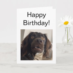 Tarjeta doblada Meme de perro confuso