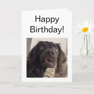 Tarjeta doblada Meme de perro confuso