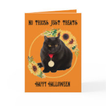 Tarjeta Doble de Gato Negro y Girasoles, 5" x 7"