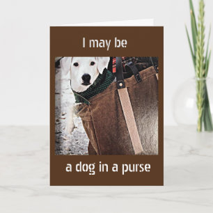 TARJETA ***DOG IN A PURSE DICE FELIZ GRACIAS***