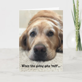 Tarjeta Dog Lover Get Well Card