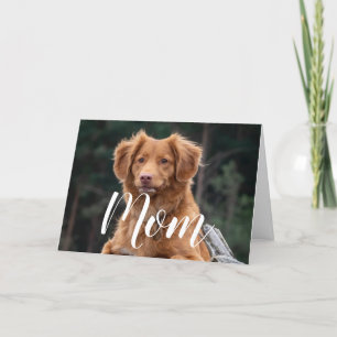 Tarjeta Dog Mom Graciosa Feliz Cumpleaños Cute Dog Mom Car