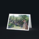 Tarjeta Dog on Hill Portrait<br><div class="desc">Dog on Hill Portrait Greeting Card. You can easily customize this product for free if you would like to add wording or change the color of the background.</div>