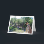 Tarjeta Dog on Hill Portrait<br><div class="desc">Dog on Hill Portrait Greeting Card. You can easily customize this product for free if you would like to add wording or change the color of the background.</div>