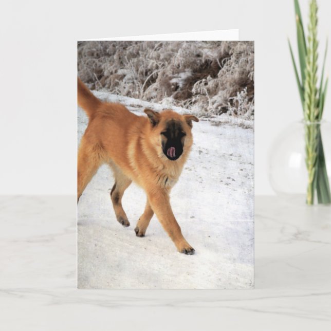Tarjeta Dog Spotted on a Frosty Morning Walk All Occasions (Anverso)