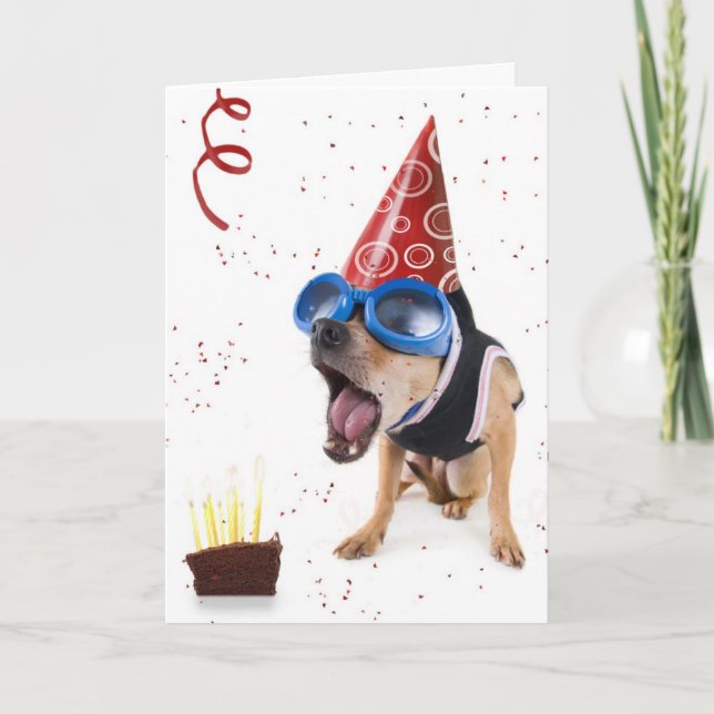 Tarjeta dogcake (Anverso)
