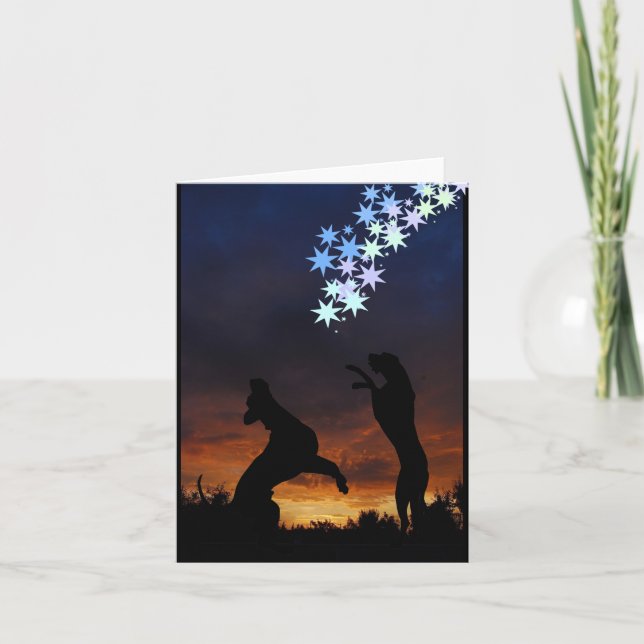 Tarjeta Doggenkarte multicolores (Anverso)