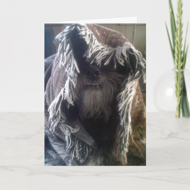 TARJETA DOGGIE IN BLANKETS DICE QUE "PEEK-A-BOO" TE ECHA D (Anverso)