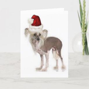 Tarjeta Dogs~Original Ditzy Notecard~Chinese Crested