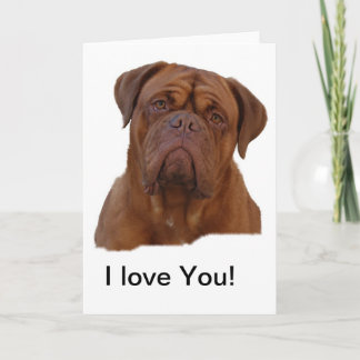 Tarjeta Dogue De Bourdeaux, mastín francés