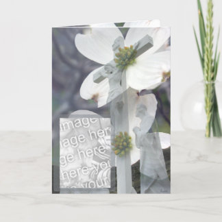 Tarjeta  Dogwood