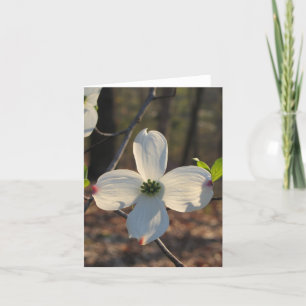 Tarjeta Dogwood floreciente