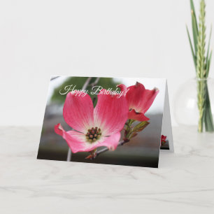 Tarjeta Dogwood rosa de cumpleaños