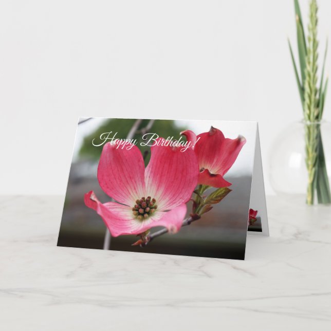 Tarjeta Dogwood rosa de cumpleaños (Anverso)