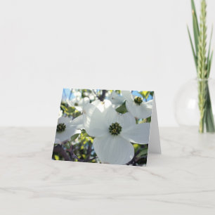 Tarjeta Dogwoods