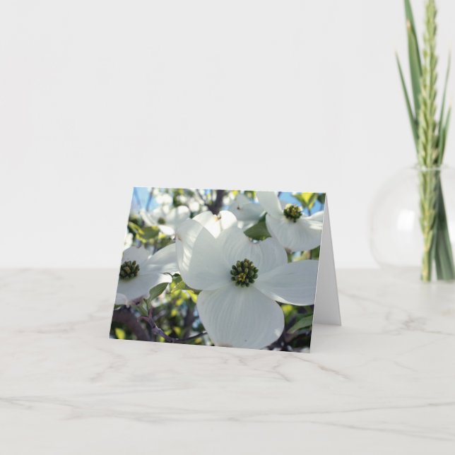 Tarjeta Dogwoods (Anverso)