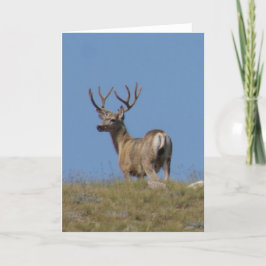 Tarjeta Dólar del ciervo mula de D9a en terciopelo