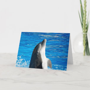 Tarjeta Dolphin Bottlenose