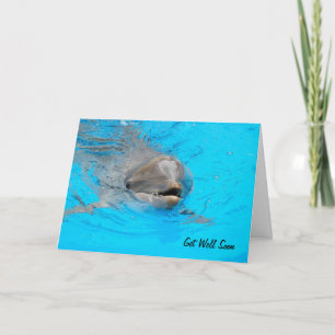 Tarjeta Dolphin Get Well