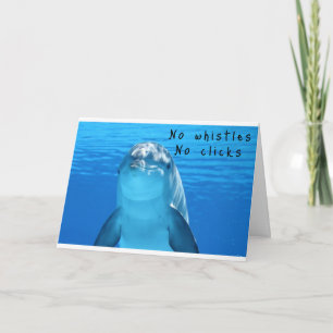 TARJETA DOLPHIN "HABLARÁ" EN "SU CUMPLEAÑOS