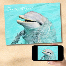 Tarjeta Dolphin Sonriente Pensando En Ti