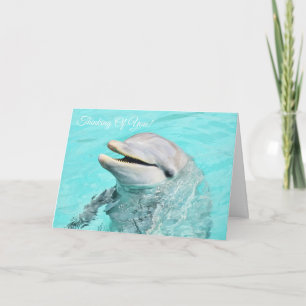 Tarjeta Dolphin Sonriente Pensando En Ti