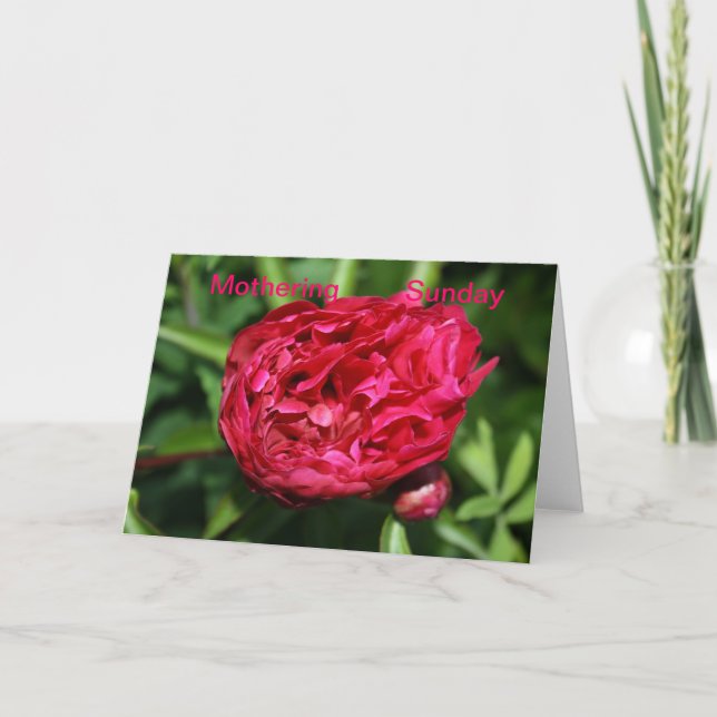 Tarjeta dominical para madres Rosas Peony (Anverso)