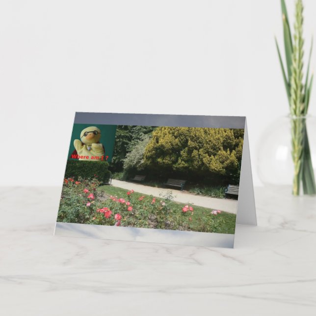 Tarjeta ¿Dónde estoy?  #4b Card (Anverso)