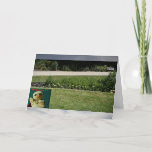 Tarjeta ¿Dónde estoy?  #5b Card