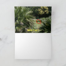 ¿Dónde estoy?  #5d Card