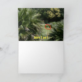 Tarjeta ¿Dónde estoy?  #5d Card