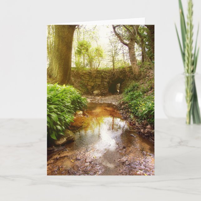 Tarjeta Donde juegan las hadas (Anverso)