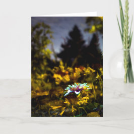 Tarjeta donde los sueños pueden venir