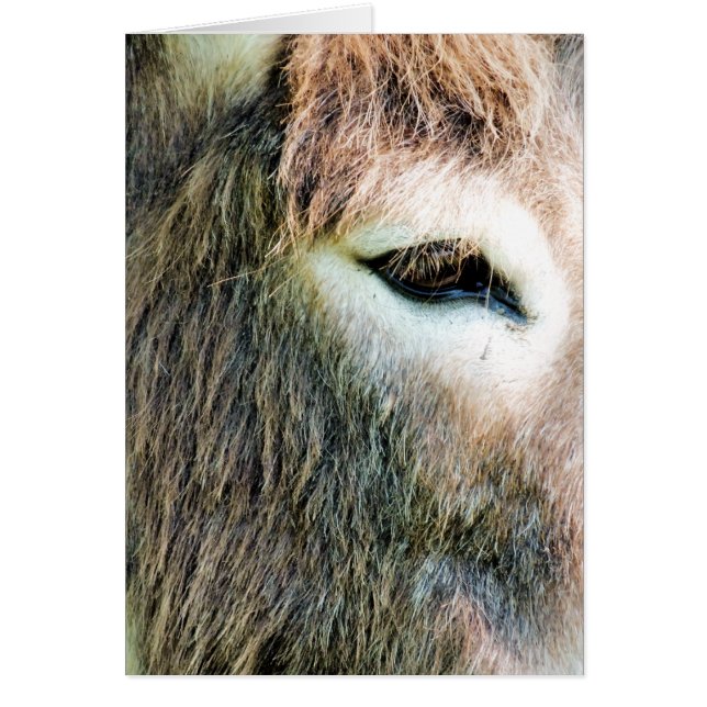 TARJETA DONKEY (Frente)