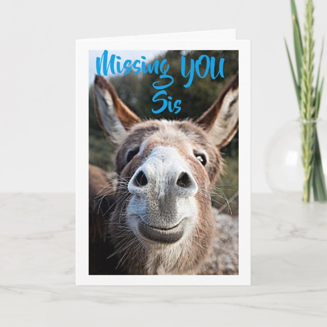 TARJETA DONKEY MISSES ***SIS** NO MUY CONTENTO POR ESO (Anverso)