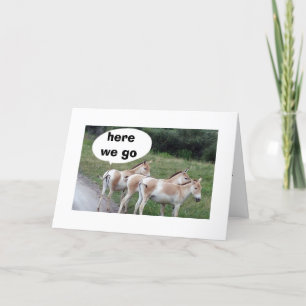 TARJETA DONKEY NO QUIERES TARDAR TU CUMPLEAÑOS