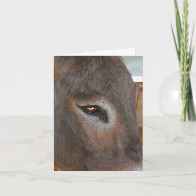 Tarjeta Donkey Thoughts Farm Animal Note (Anverso)