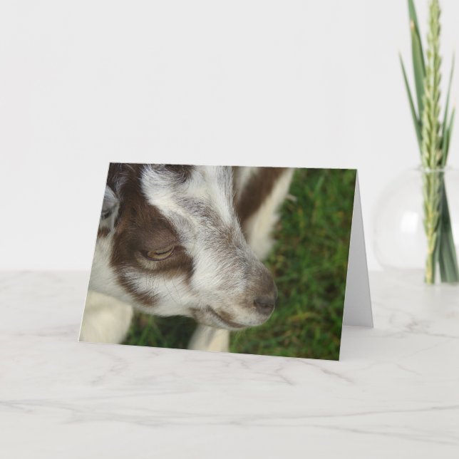 Tarjeta Dopee (Anverso)